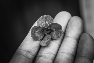 xóc đĩa trực tuyến Kubet