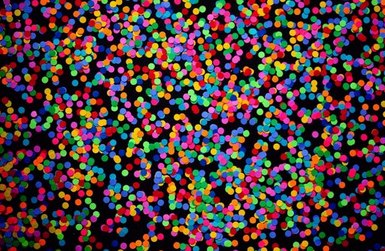 ví điện tử uy tín May88
